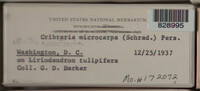 Image Associated With the Occurence